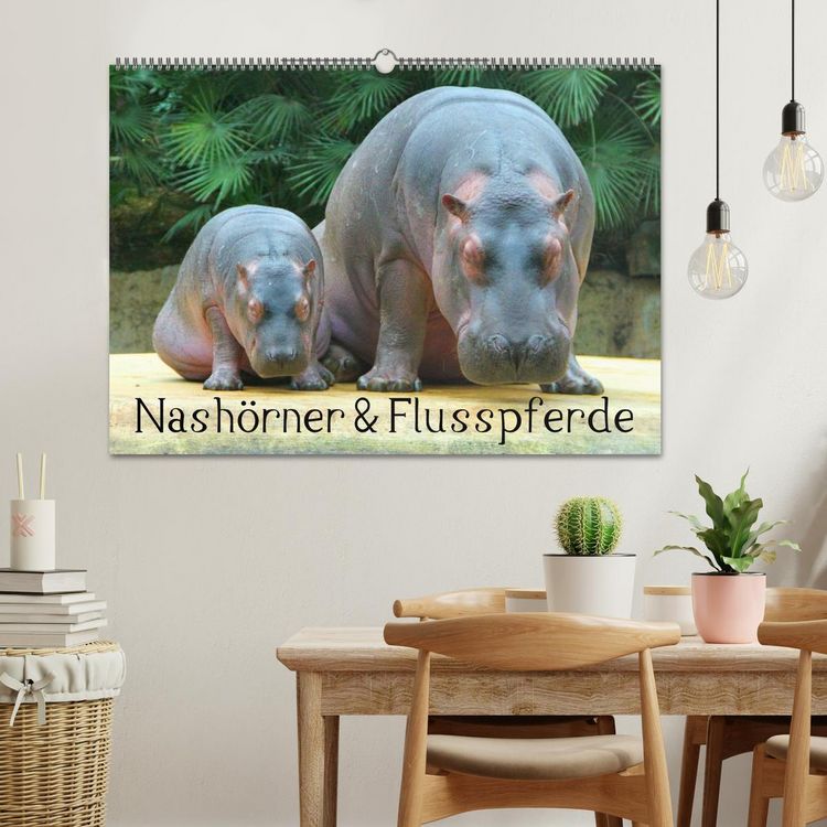 Produktbild: Nash&ouml;rner & Flusspferde (Wandkalender 2026 DIN A2 quer), CALVENDO Monatskalender