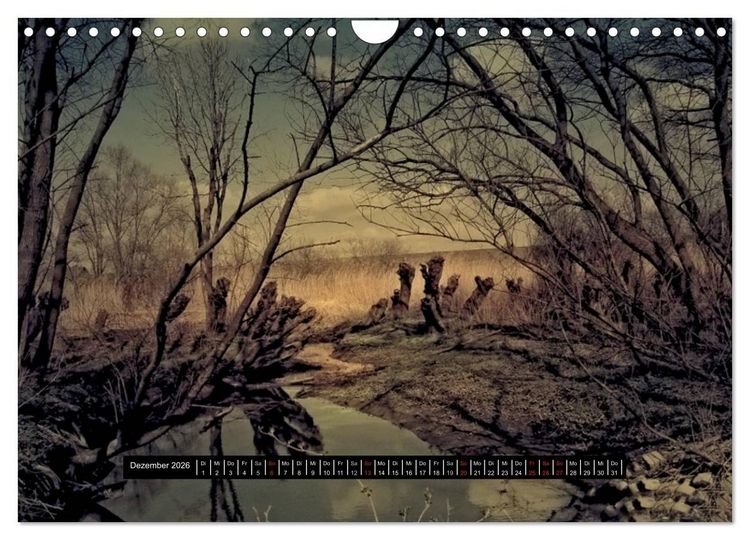 Produktbild: Sehnsucht der Natur (Wandkalender 2026 DIN A4 quer), CALVENDO Monatskalender