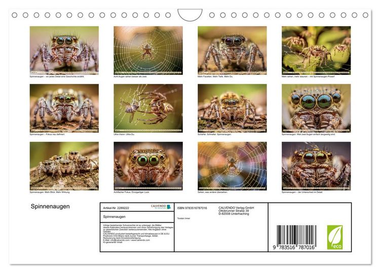 Produktbild: Spinnenaugen (Wandkalender 2027 DIN A4 quer), CALVENDO Monatskalender