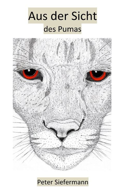 Produktbild: Aus der Sicht des Pumas