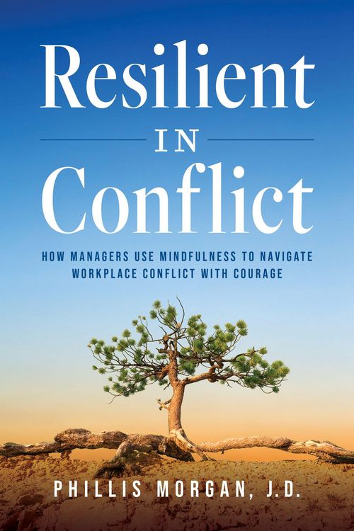 Produktbild: Resilient in Conflict