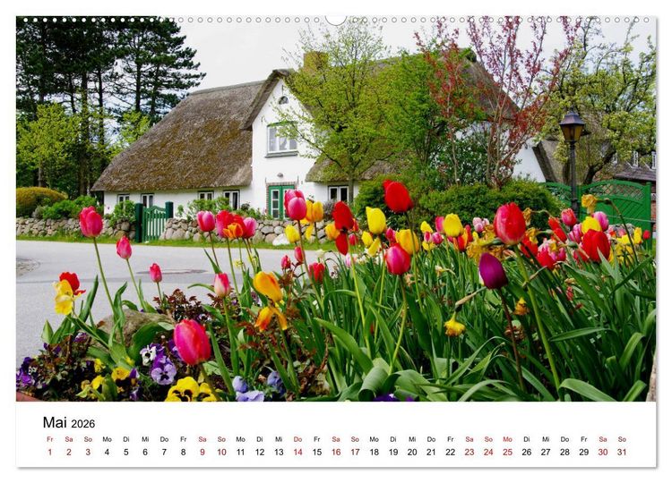 Produktbild: Insel Amrum - Ein Juwel unterm norddeutschen Himmel (Wandkalender 2026 DIN A2 quer), CALVENDO Monatskalender