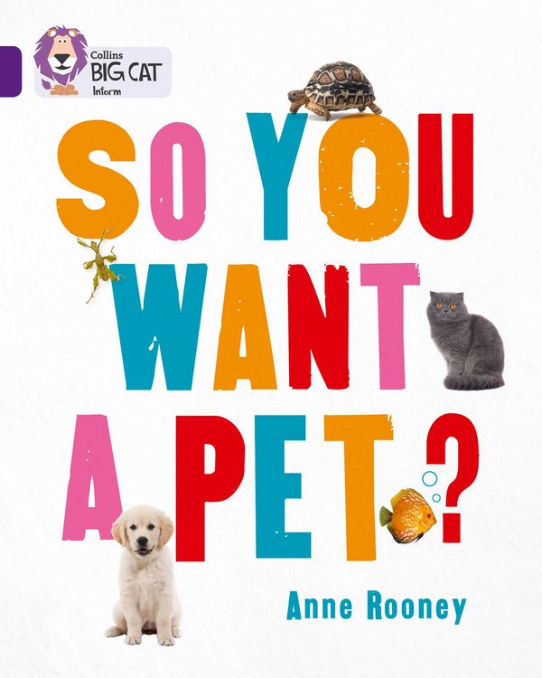 Produktbild: Big Cat - so You Want Pet