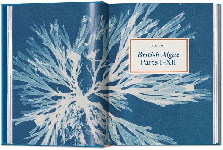 Produktbild: Anna Atkins