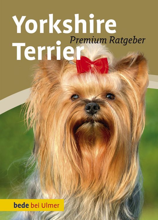 Produktbild: Yorkshire Terrier