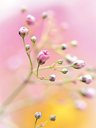 Produktbild: CALVENDO Puzzle W&auml;rme 1000 Teile Puzzle hoch | 1000 Teile Lege-Gr&ouml;&szlig;e 64 &times; 48 cm Foto-Puzzle f&uuml;r gl&uuml;ckliche Stunden