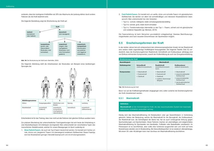 Produktbild: Optimales Basiswissen Sport