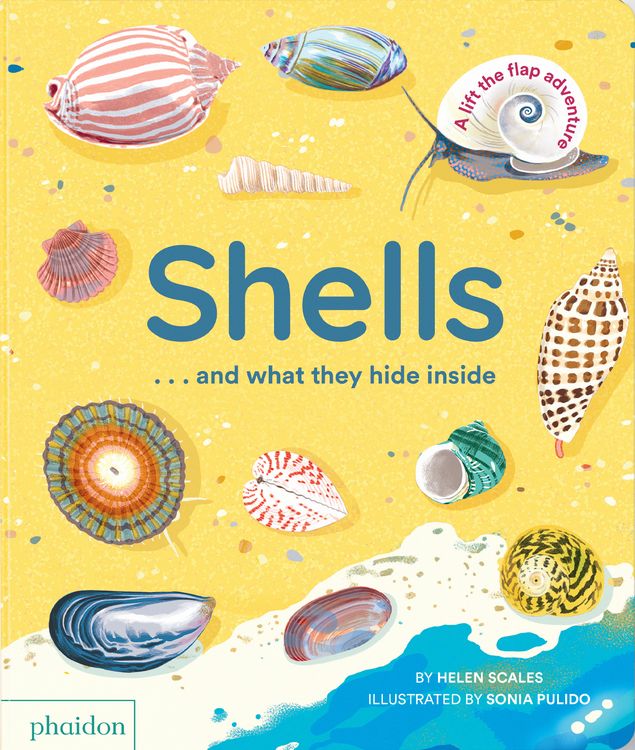Produktbild: Shells... and what they hide inside