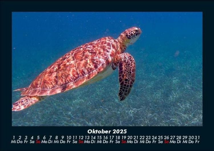 Produktbild: Karibik 2025 Fotokalender DIN A5