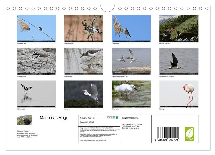 Produktbild: Mallorcas V&ouml;gel (Wandkalender 2027 DIN A4 quer), CALVENDO Monatskalender