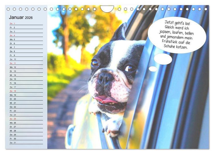 Produktbild: Hurra! Wir gehen Gassi! Abenteuer mit dem Hund! (Wandkalender 2026 DIN A4 quer), CALVENDO Monatskalender
