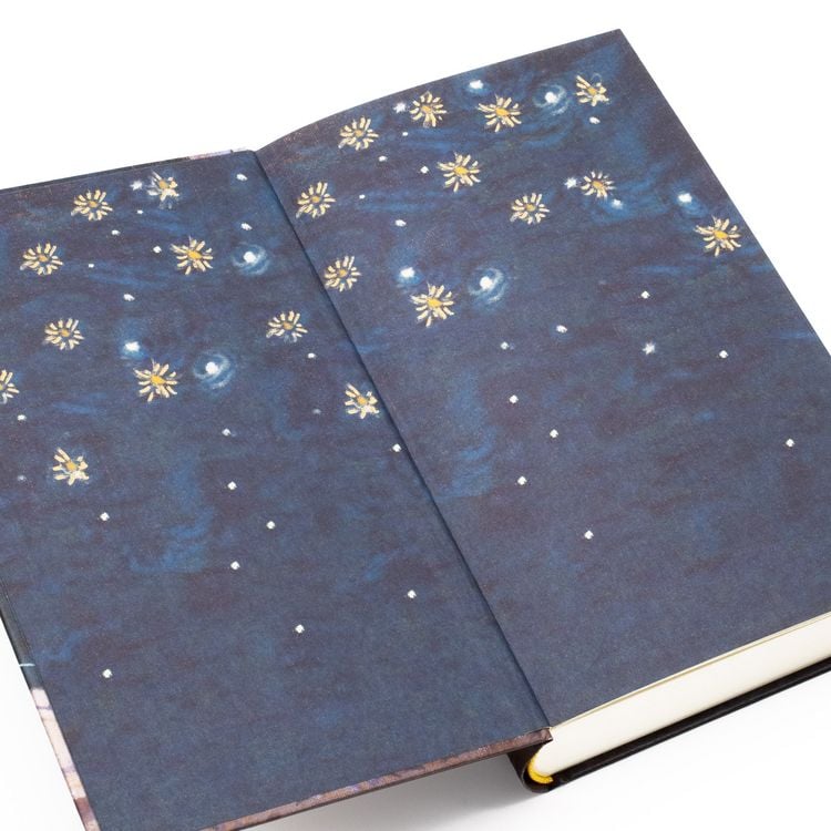 Produktbild: Unter den Sternen von Paris