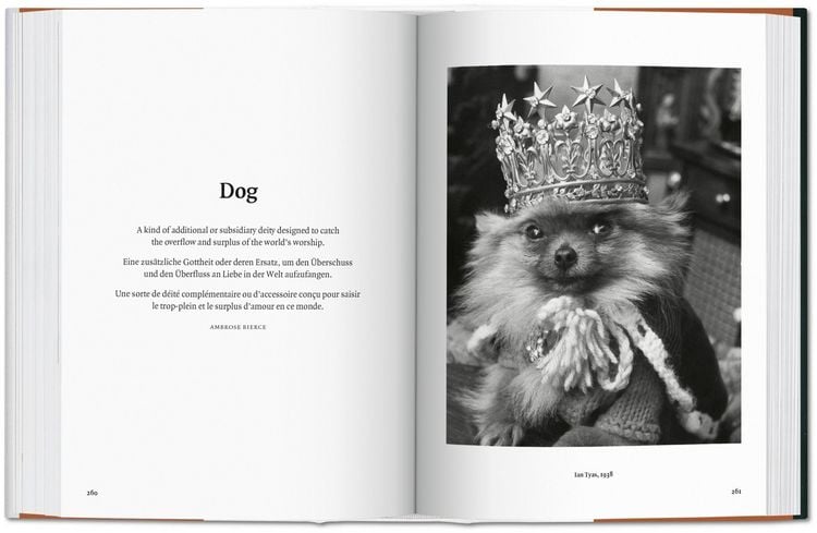 Produktbild: The Dog in Photography 1839&ndash;Today