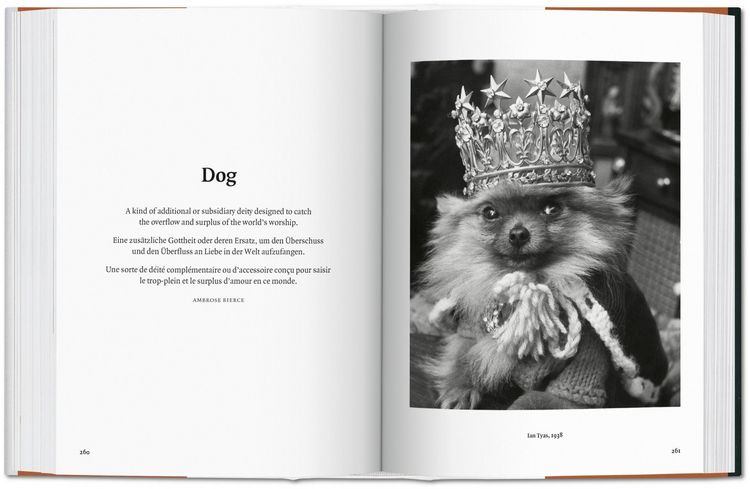 Produktbild: The Dog in Photography 1839&ndash;Today