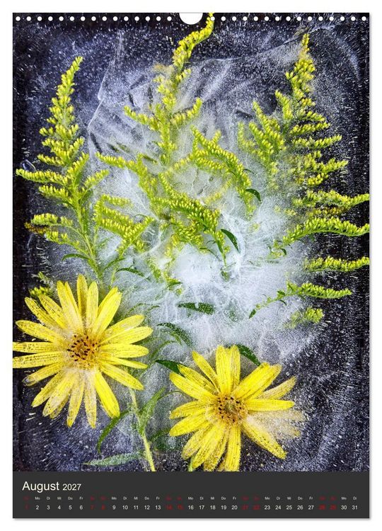 Produktbild: Magische Eisblumen (Wandkalender 2027 DIN A3 hoch), CALVENDO Monatskalender