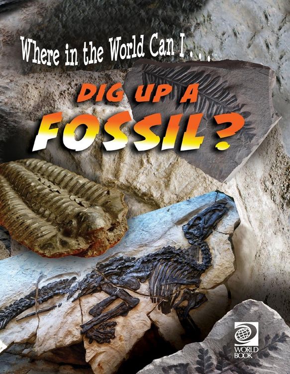 Produktbild: Dig Up a Fossil?
