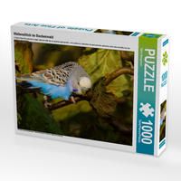 Produktbild: CALVENDO Puzzle Wellensittich im Buchenwald 1000 Teile Lege-Gr&ouml;&szlig;e 64 x 48 cm Foto-Puzzle Bild von Bj&ouml;rn Bergmann