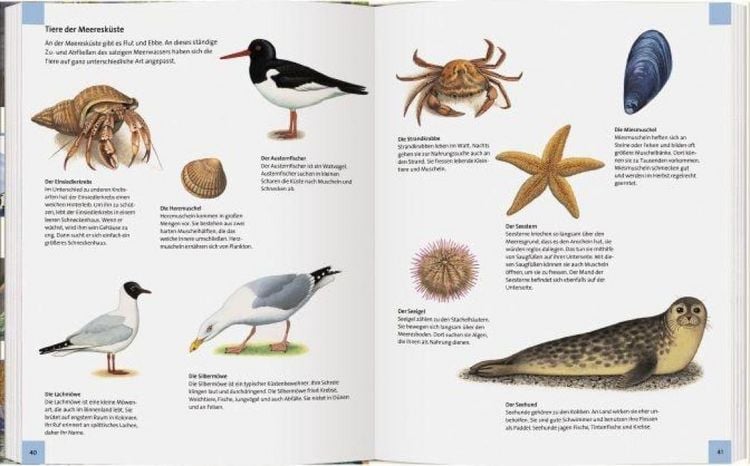Produktbild: Wo leben die Tiere unserer Welt?