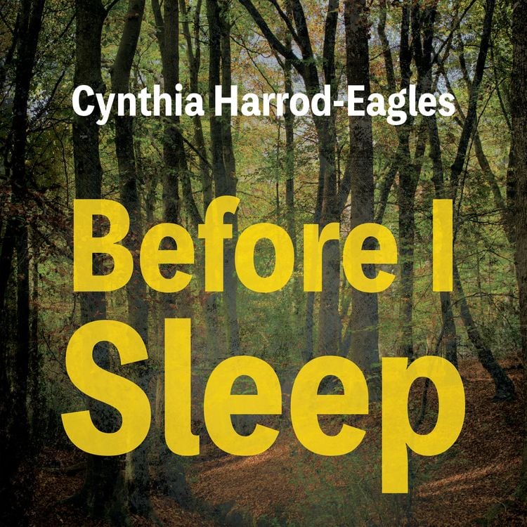 Produktbild: Before I Sleep