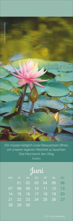 Produktbild: Achtsamkeit Lesezeichen & Kalender 2027