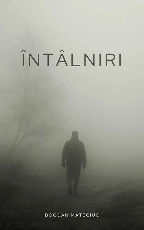 Produktbild: &Icirc;nt&acirc;lniri