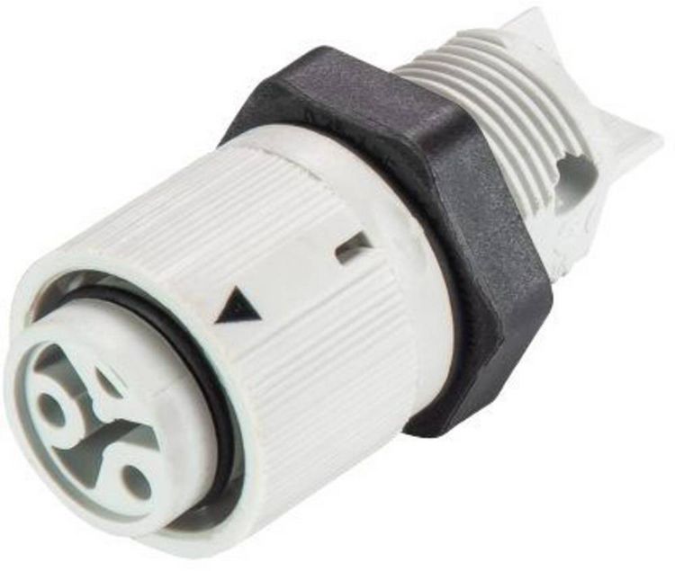 Produktbild: Wieland 46.031.5054.0 Rundstecker Buchse, Einbau Serie (Rundsteckverbinder): RST&reg; MINI Gesamtpolzahl: 2 1 St.
