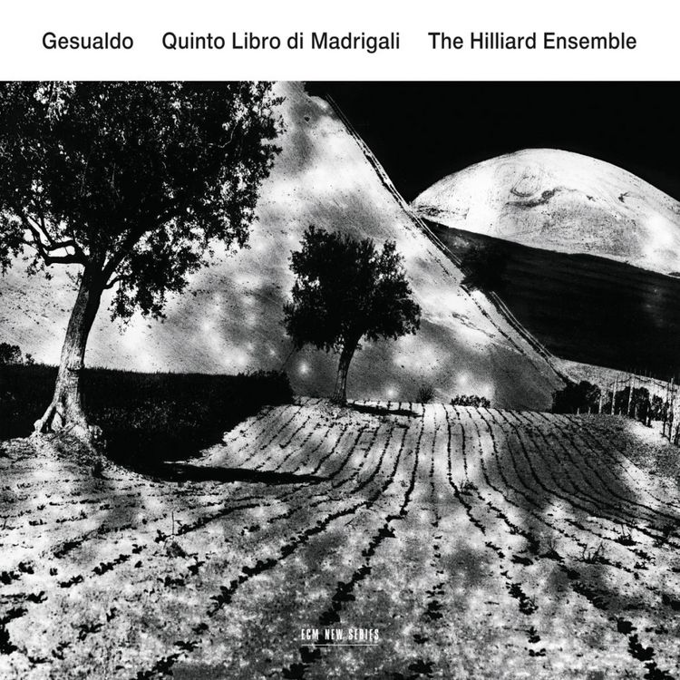 Produktbild: Quinto Libro Di Madrigali