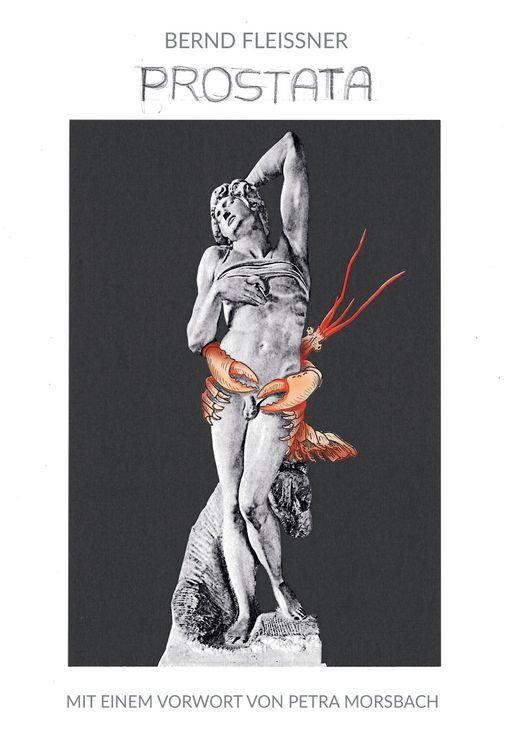 Produktbild: Prostata