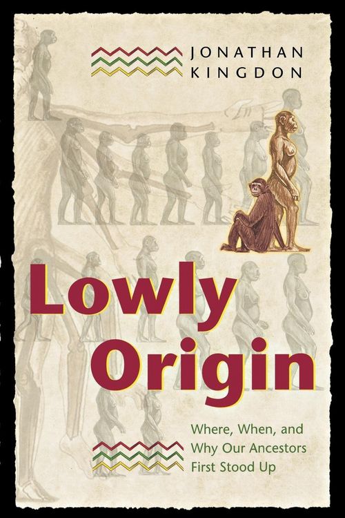 Produktbild: Lowly Origin
