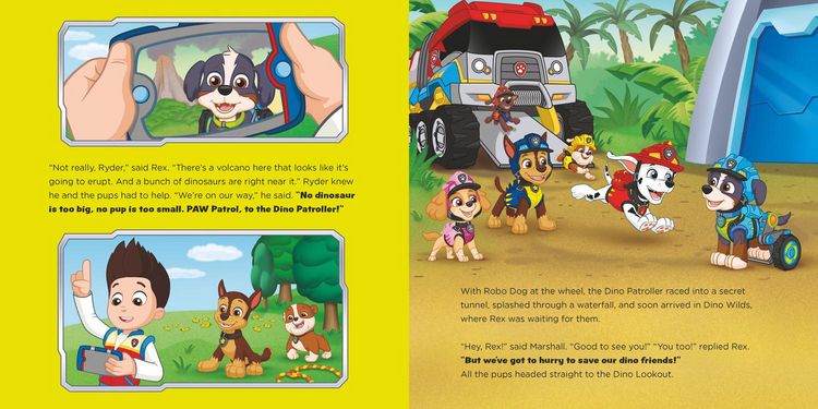 Produktbild: PAW PATROL PICTURE BK DINOS PB