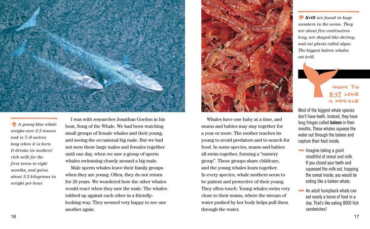Produktbild: Face to Face with Whales