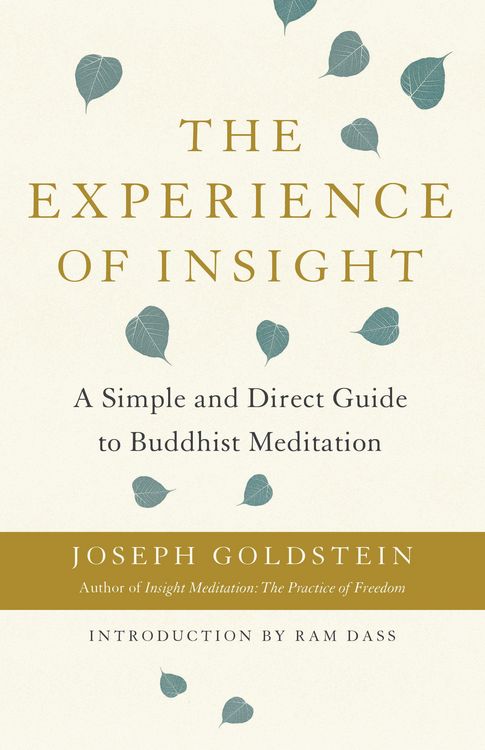 Produktbild: The Experience of Insight