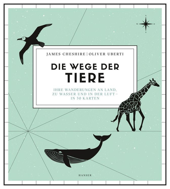Produktbild: Die Wege der Tiere