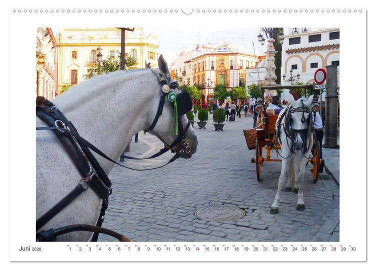 Produktbild: Sevilla Eine Stadt zum Tr&auml;umen (Wandkalender 2026 DIN A2 quer), CALVENDO Monatskalender