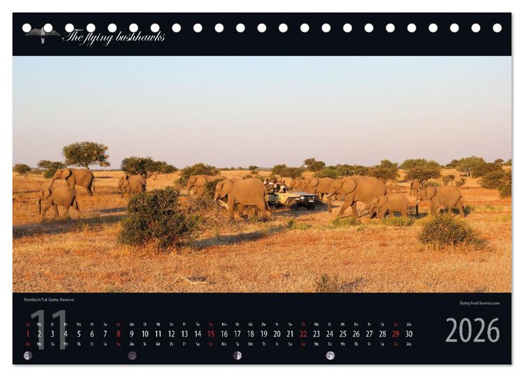 Produktbild: Botswana Blickwinkel 2026 (Tischkalender 2026 DIN A5 quer), CALVENDO Monatskalender