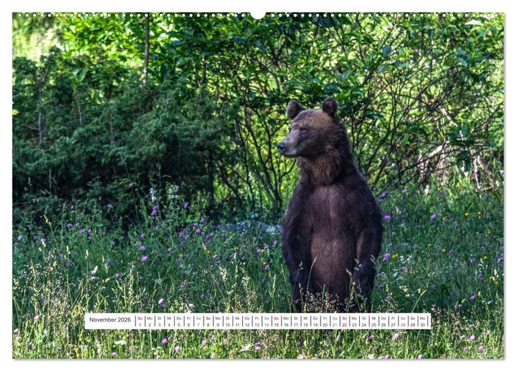 Produktbild: Der Una Nationalpark (hochwertiger Premium Wandkalender 2026 DIN A2 quer), Kunstdruck in Hochglanz