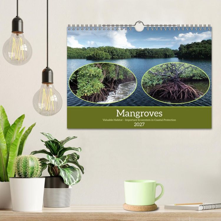 Produktbild: Mangroves - Valuable Habitat (Wall Calendar 2027 DIN A4 landscape), CALVENDO 12 Month Wall Calendar