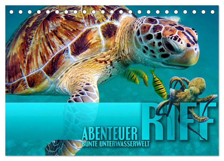 Produktbild: Abenteuer Riff - bunte Unterwasserwelt (Tischkalender 2026 DIN A5 quer), CALVENDO Monatskalender