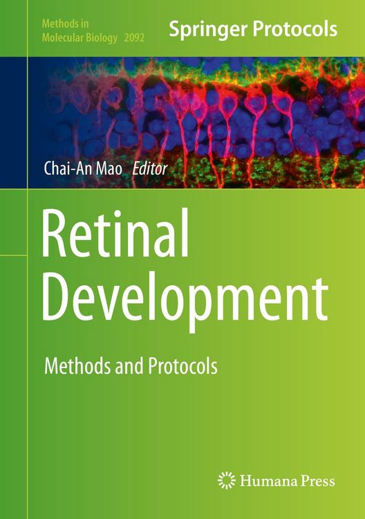 Produktbild: Retinal Development