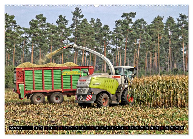 Produktbild: MAIS ERNTE (Wandkalender 2026 DIN A2 quer), CALVENDO Monatskalender