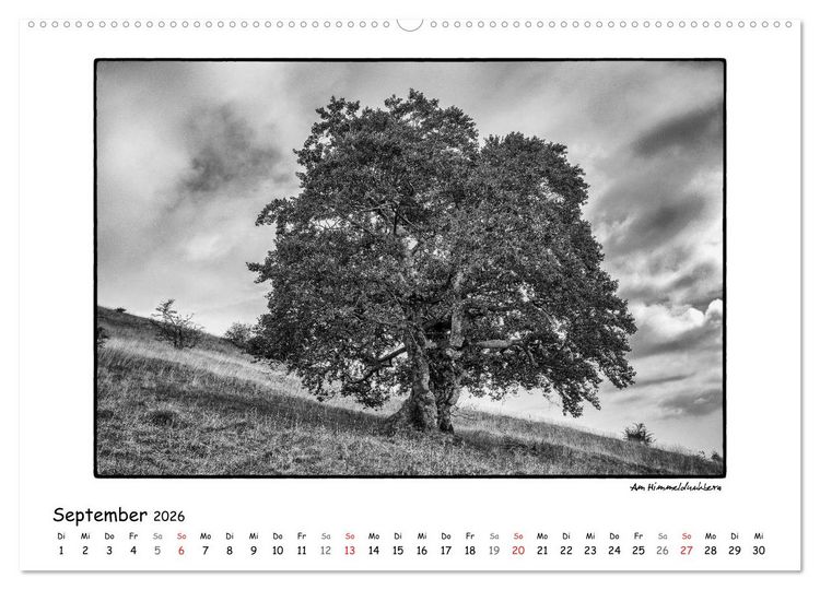 Produktbild: RH&Ouml;N SCHWARZ-WEISS (Wandkalender 2026 DIN A2 quer), CALVENDO Monatskalender
