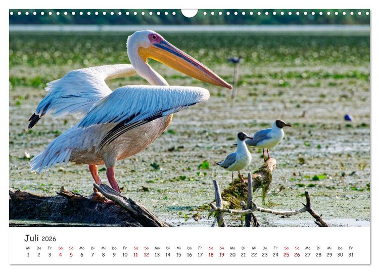 Produktbild: Donau-Delta (Wandkalender 2026 DIN A3 quer), CALVENDO Monatskalender