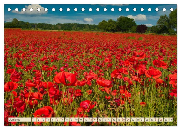 Produktbild: Landkreis Emmendingen - Streifz&uuml;ge durch den S&uuml;dwesten (Tischkalender 2026 DIN A5 quer), CALVENDO Monatskalender
