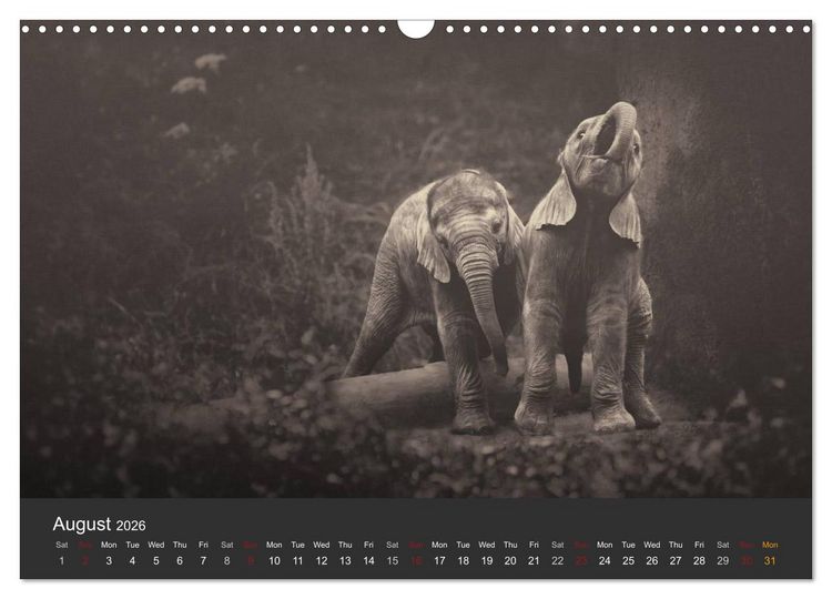 Produktbild: African Souls African animals with soul (Wall Calendar 2026 DIN A3 landscape), CALVENDO 12 Month Wall Calendar