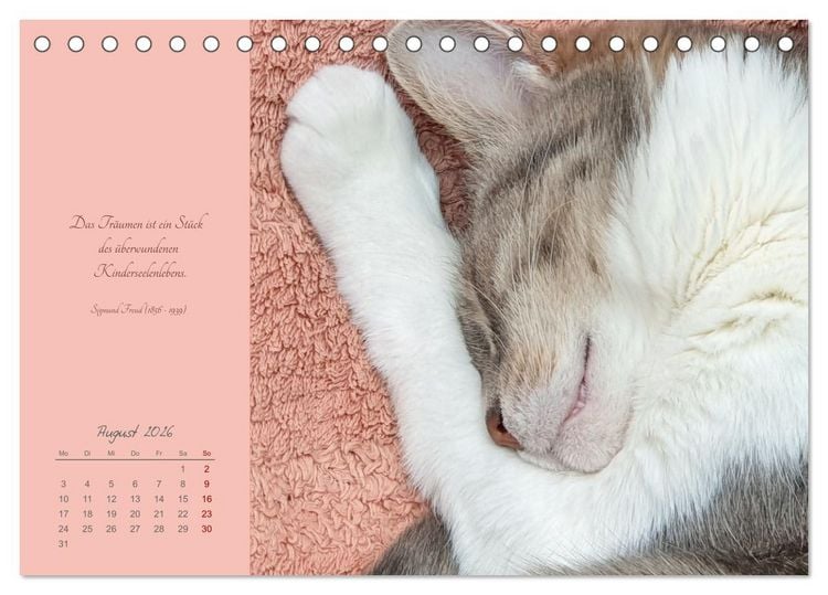 Produktbild: H&auml;ng einfach mal ab (Tischkalender 2026 DIN A5 quer), CALVENDO Monatskalender