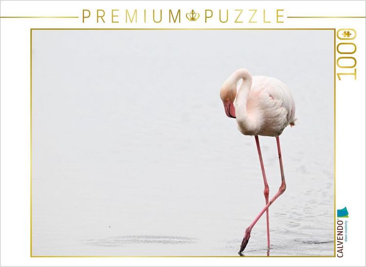 Produktbild: CALVENDO Puzzle Flamingo | 1000 Teile Lege-Gr&ouml;&szlig;e 64x48cm Foto-Puzzle f&uuml;r gl&uuml;ckliche Stunden