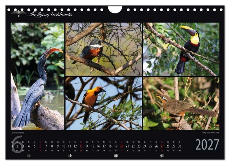 Produktbild: Costa Rica Blickwinkel 2027 (Wandkalender 2027 DIN A4 quer), CALVENDO Monatskalender
