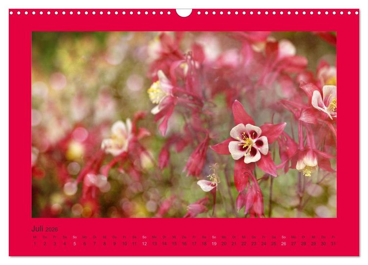 Produktbild: 12 Farben (Wandkalender 2026 DIN A3 quer), CALVENDO Monatskalender