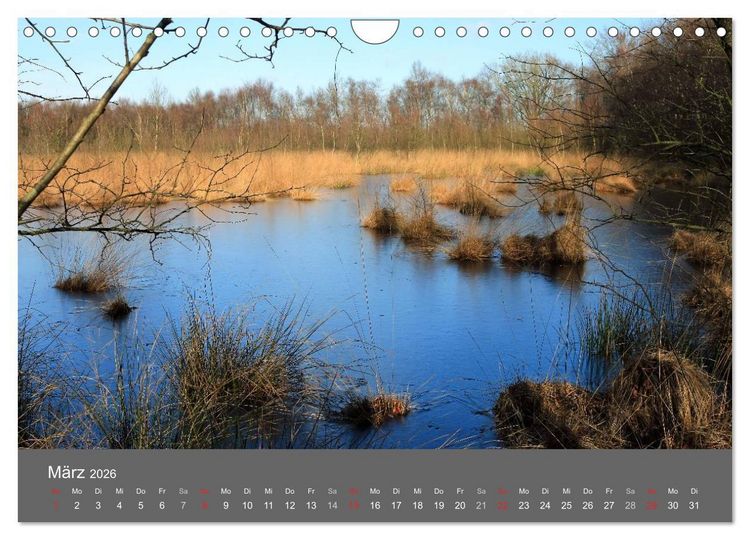Produktbild: Moor- und Heidelandschaften Niedersachsen (Wandkalender 2026 DIN A4 quer), CALVENDO Monatskalender