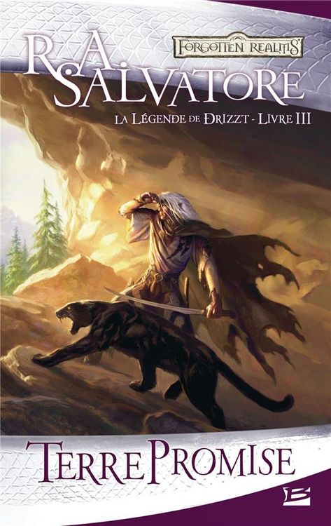 Produktbild: La l&eacute;gende de Drizzt